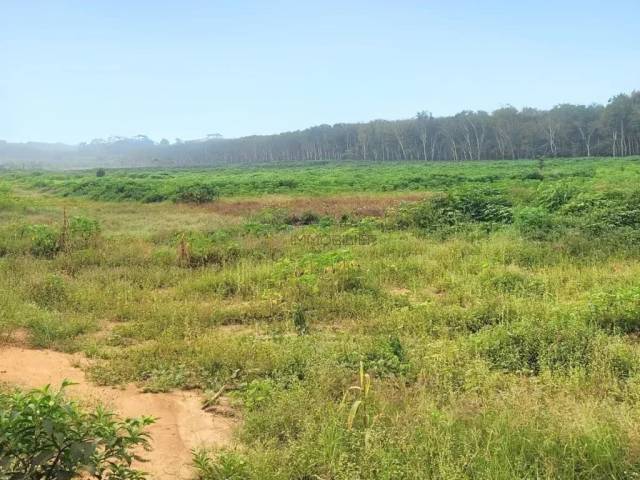 Bien immobilier à Lefflertown